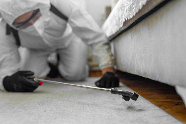 Professional Rodent Control technician working in Winston, OR