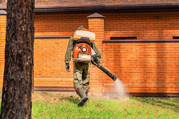 Trusted Rodent Control service in Winston, OR - Nex Pest Control